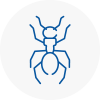 Ant Removals In Richmond