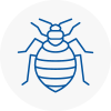 Bed Bug Extermination In Richmond