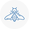 Bee Nest Removal Richmond