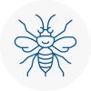 Richmond Hornet Nest Removals