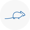 Mice Exterminators In Richmond