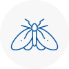 Moth Control Specialists In Richmond
