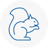 Richmond Rodent Removals