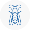 Richmond Wasp Nest Removal
